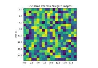 Visualizzatore sezioni immagine